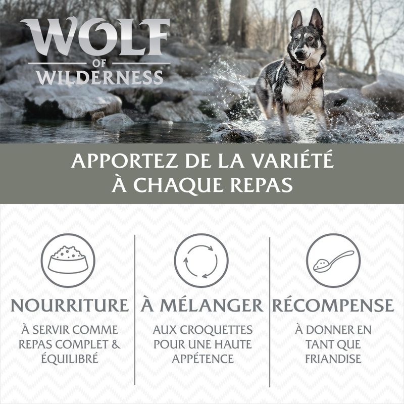 Wolf of Wilderness - Single Protein 6 x 400 g