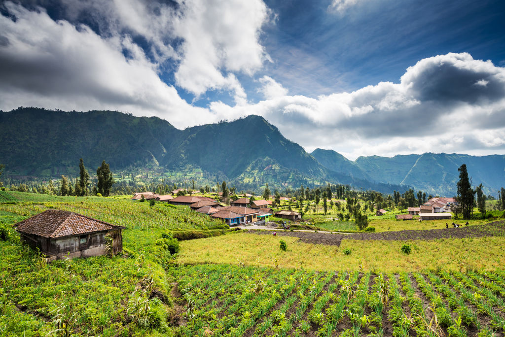 Rondreis Veelzijdig Java & Bali Zie beschrijving - Hotel