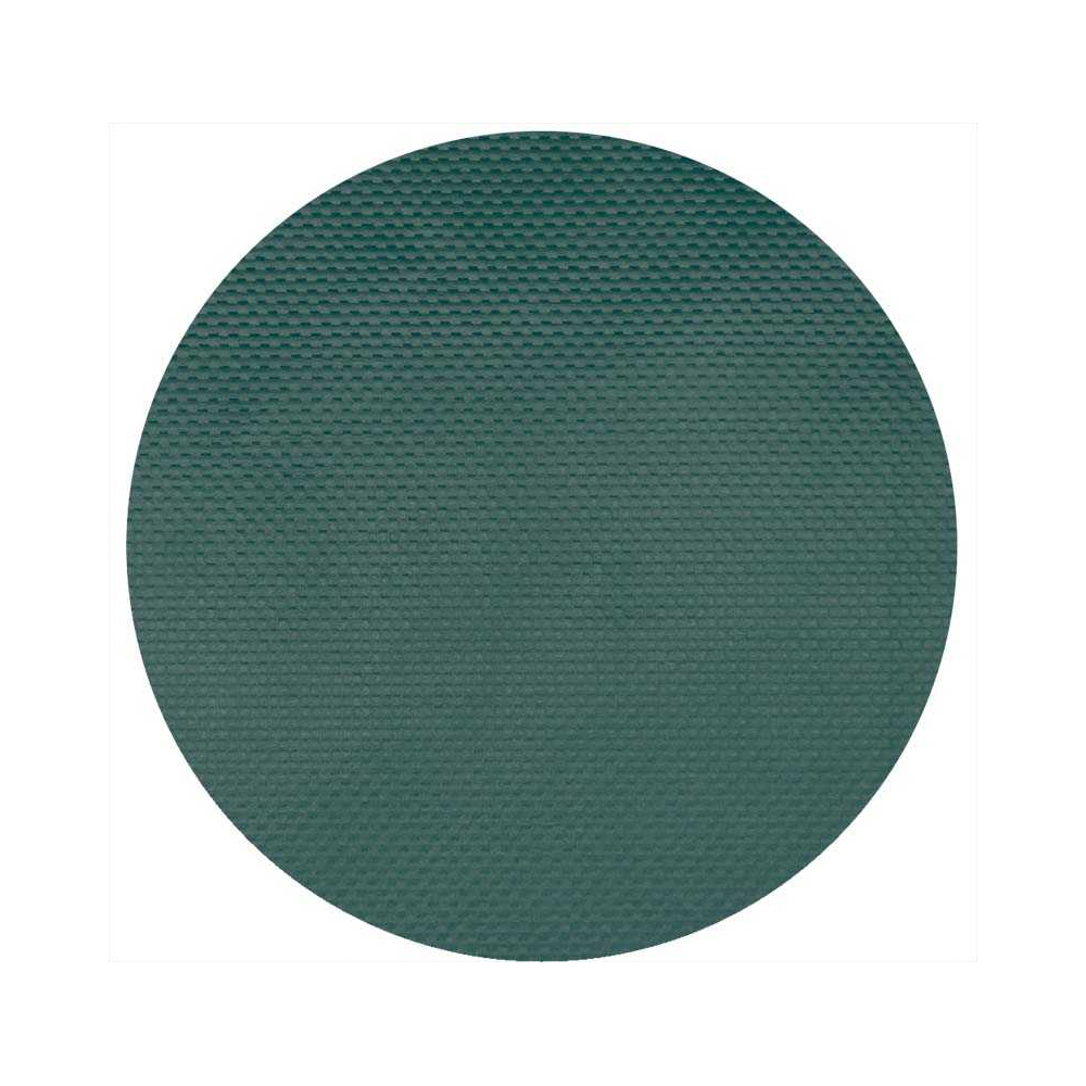 Bâche de couverture professionnel vert 10 x 12 m