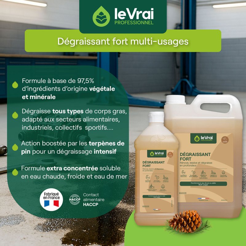 Nettoyant Dégraissant Fort Le Vrai Professionnel  - Bidon de 5 L