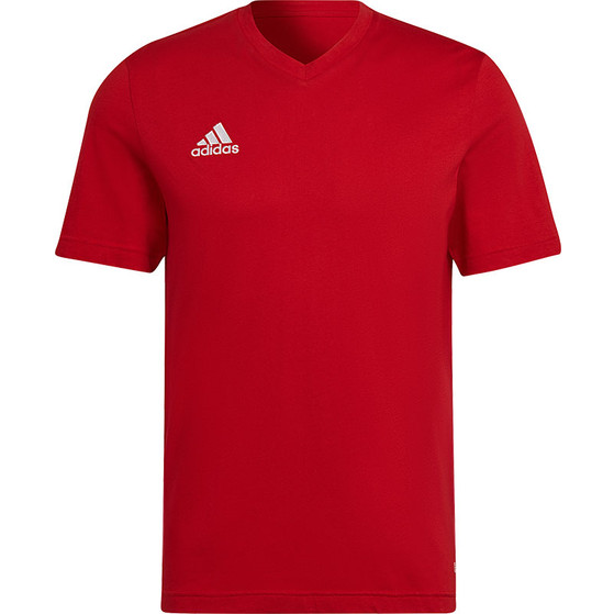 adidas Entrada 22 Tee