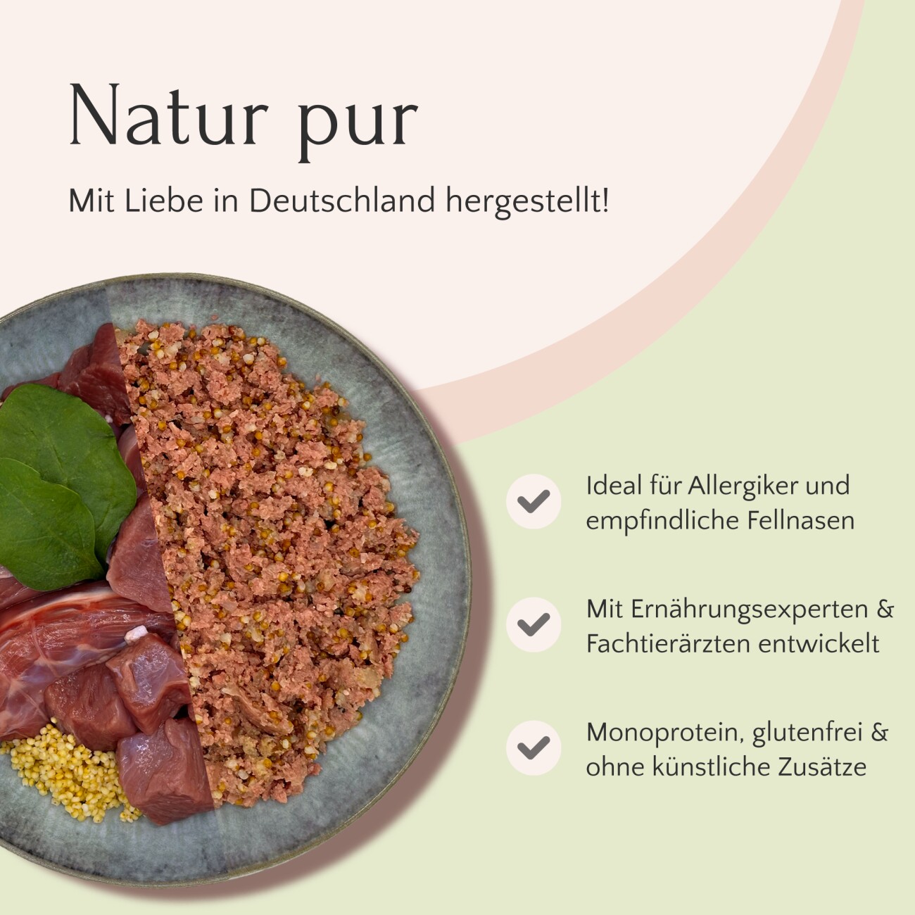 FAVLY Petfood Nassfutter Ente mit Hirse & Spinat 6x800 g