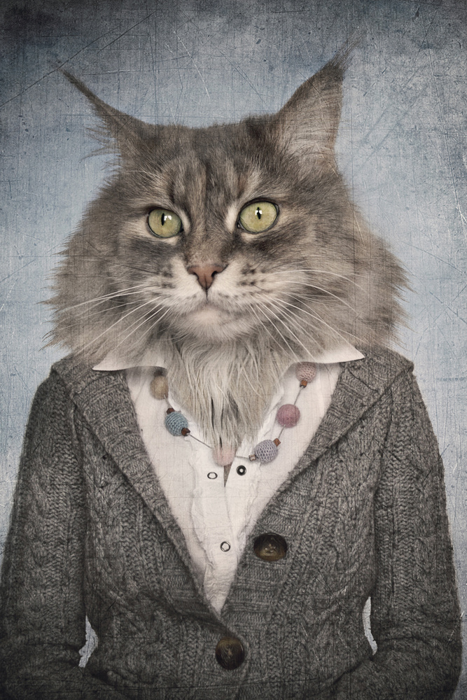 Akustikbild KATZENFRAU 80x120cm, 7kg