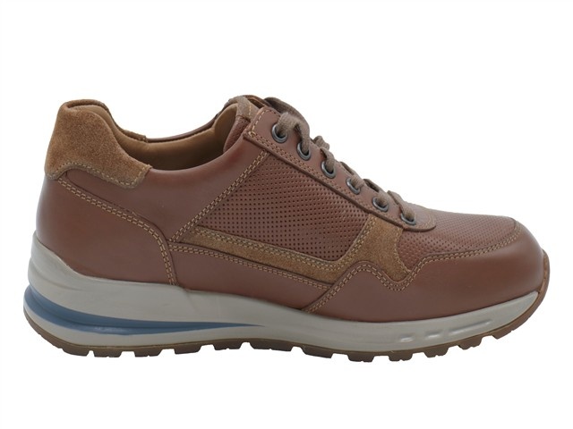 Mephisto Bradley