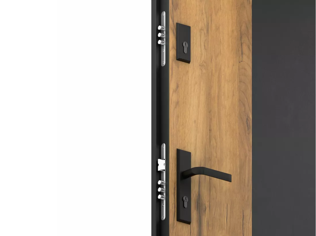 Porte d'entrée pleine en acier H207 x L100 cm - Noir et effet chêne - poussant droit - MABENA
