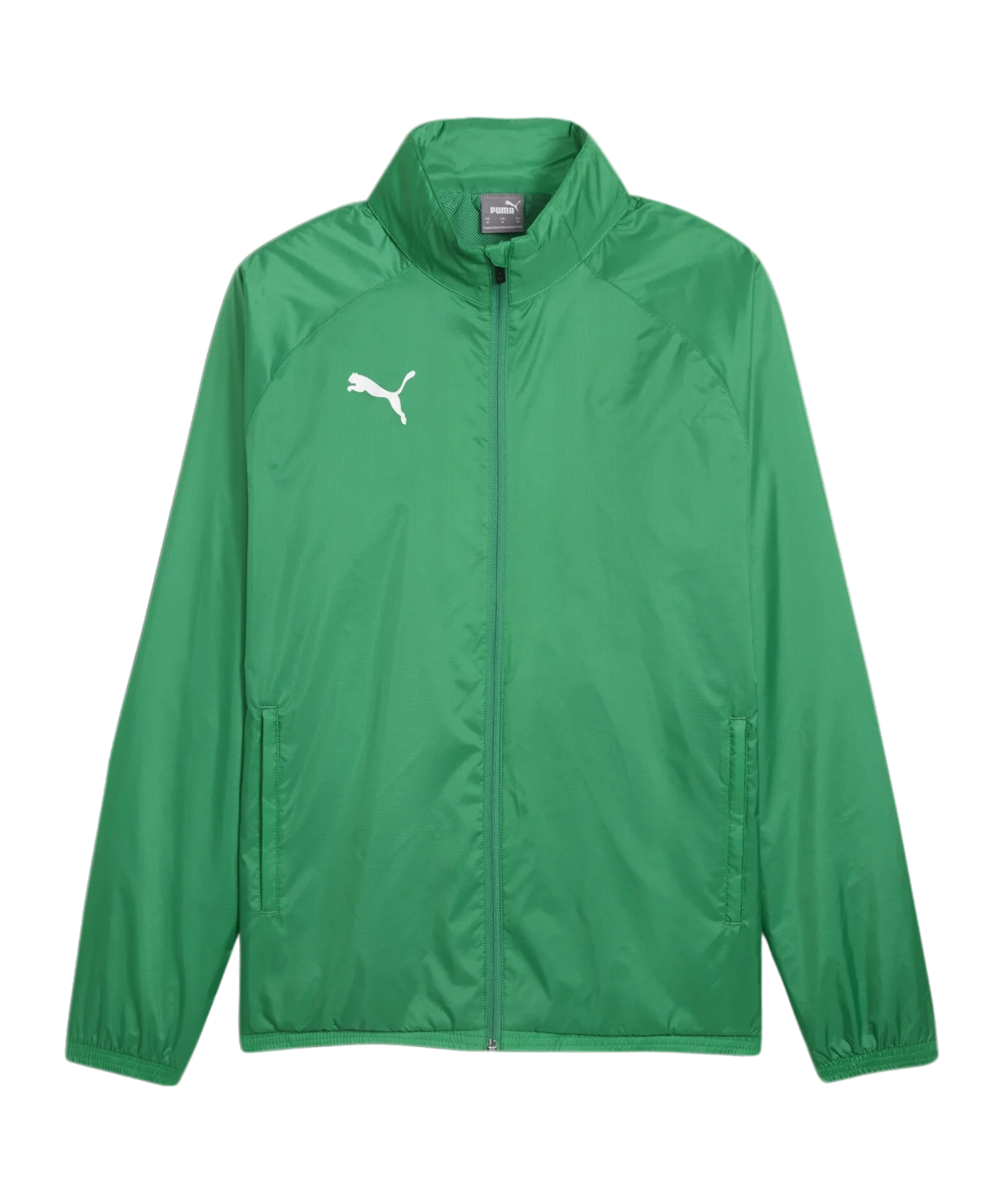 PUMA teamGOAL Allwetterjacke Grün Weiss F05