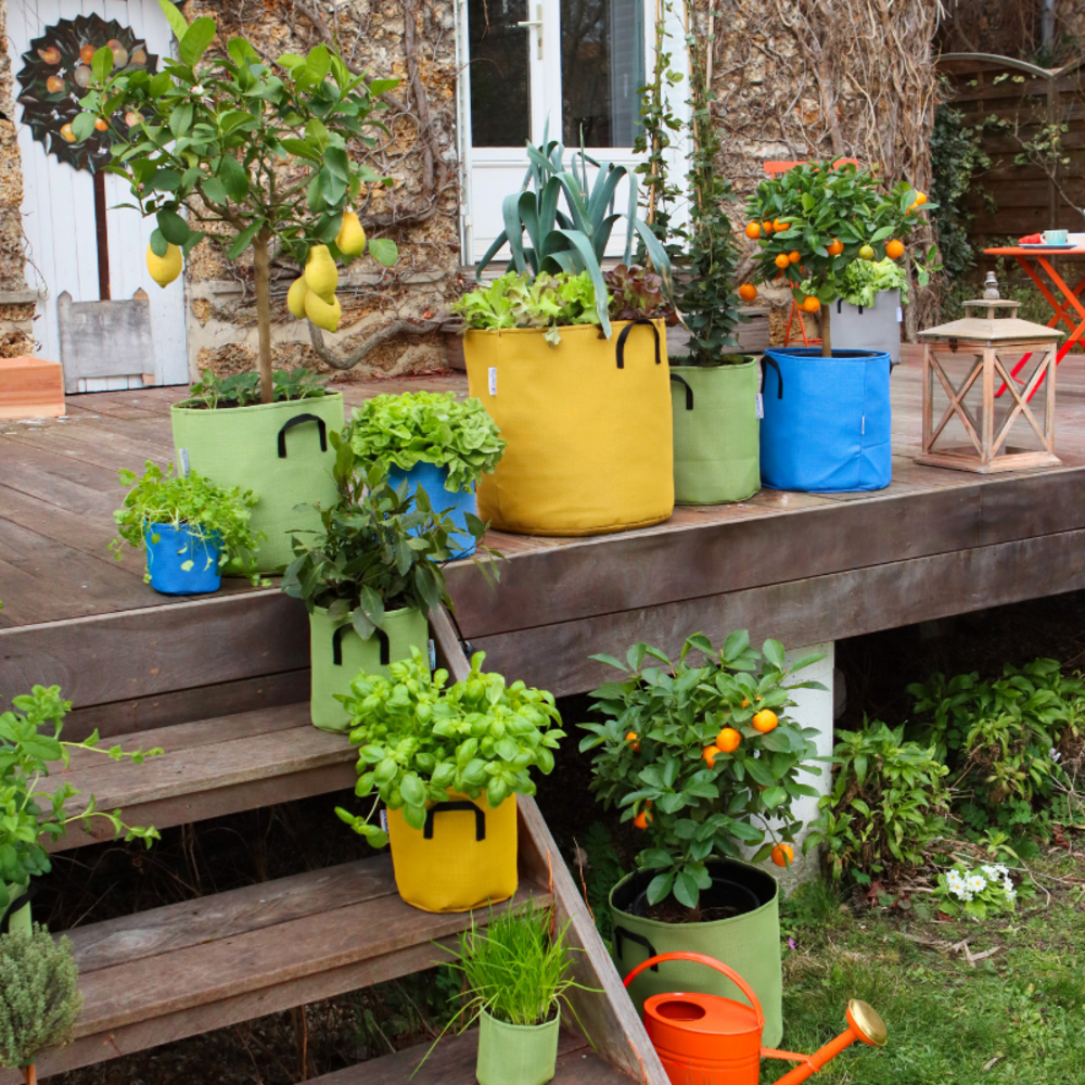 Jardinière de plantation respirant 12 cm