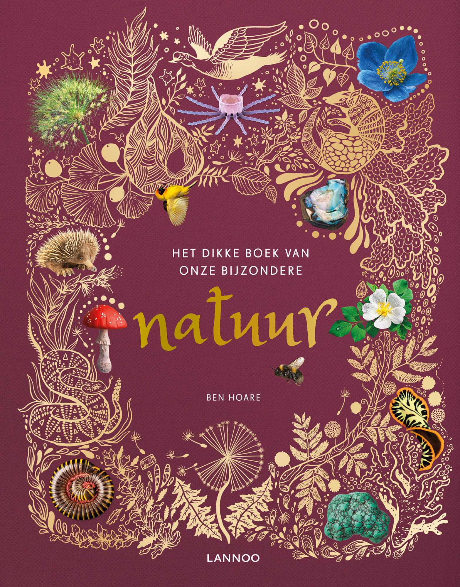 Het dikke boek van onze bijzondere Natuur
