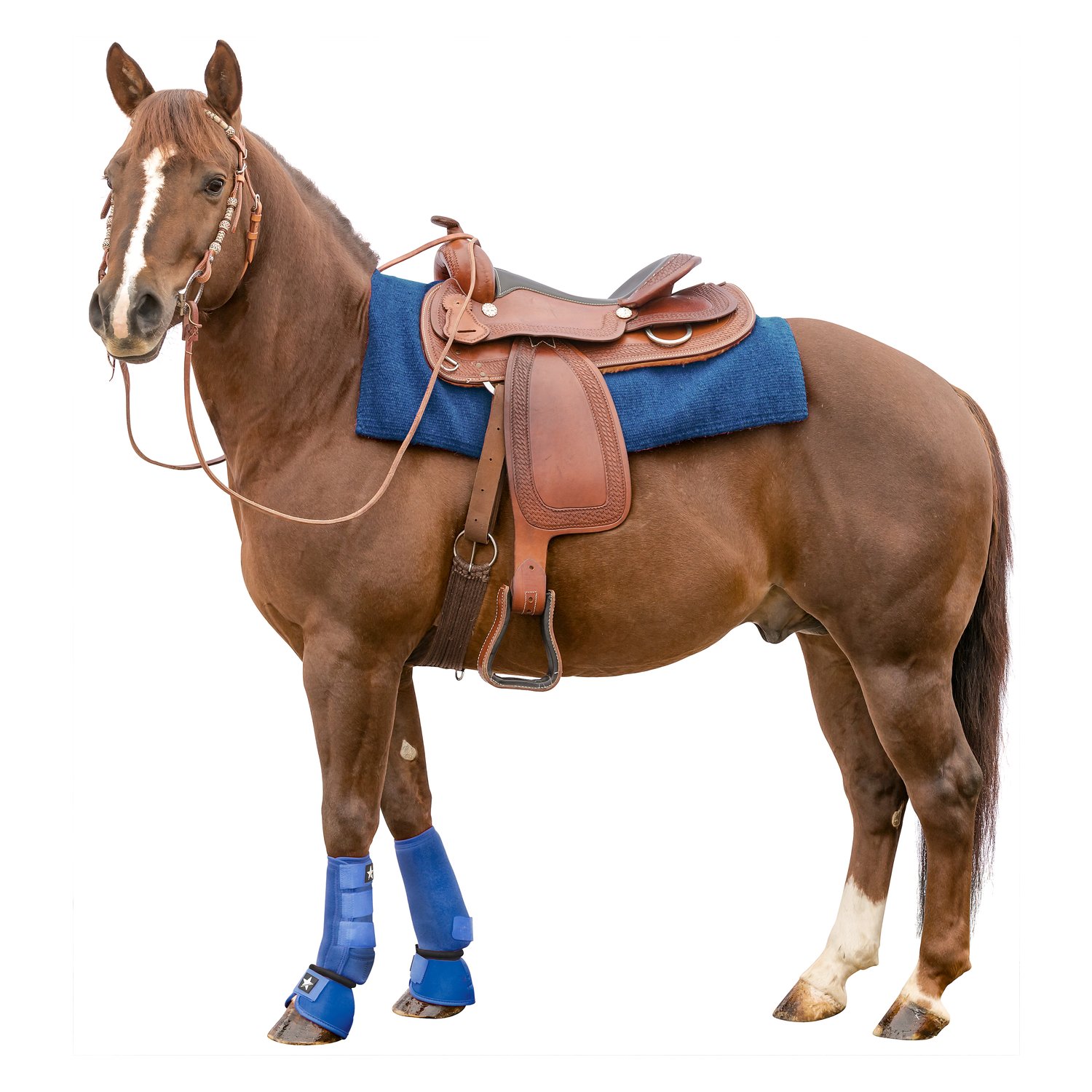 L-pro West Gamaschen  - royalblau