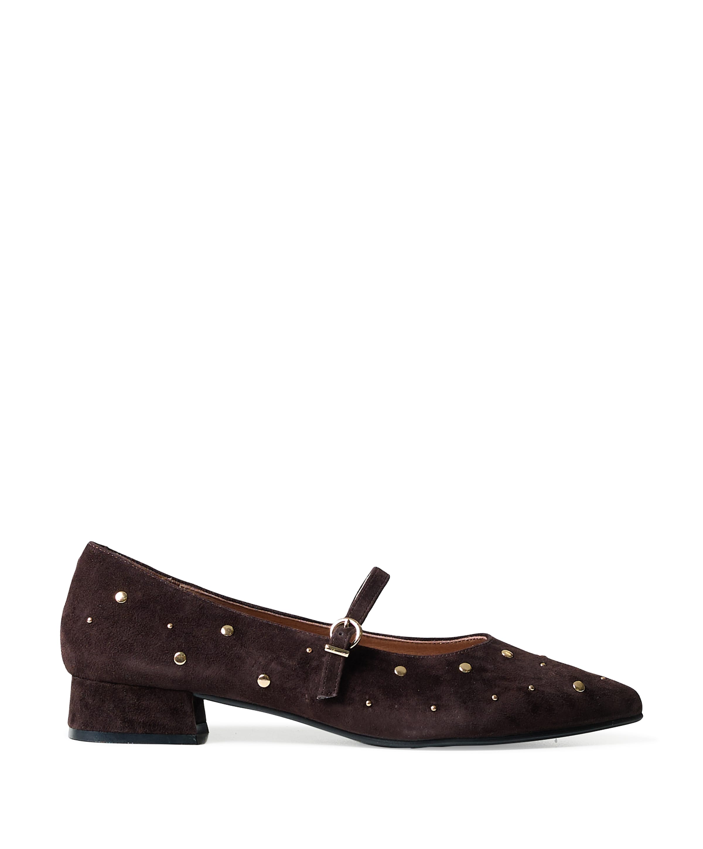 Gioia  Annette dames ballerina's bruin