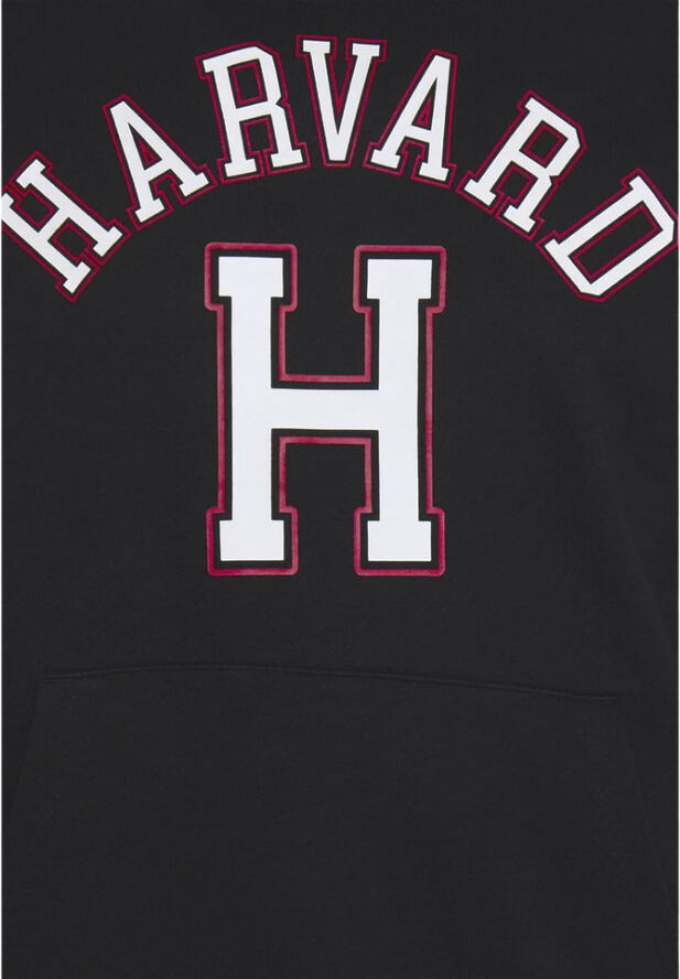 Champion hooded sweatshirt Black