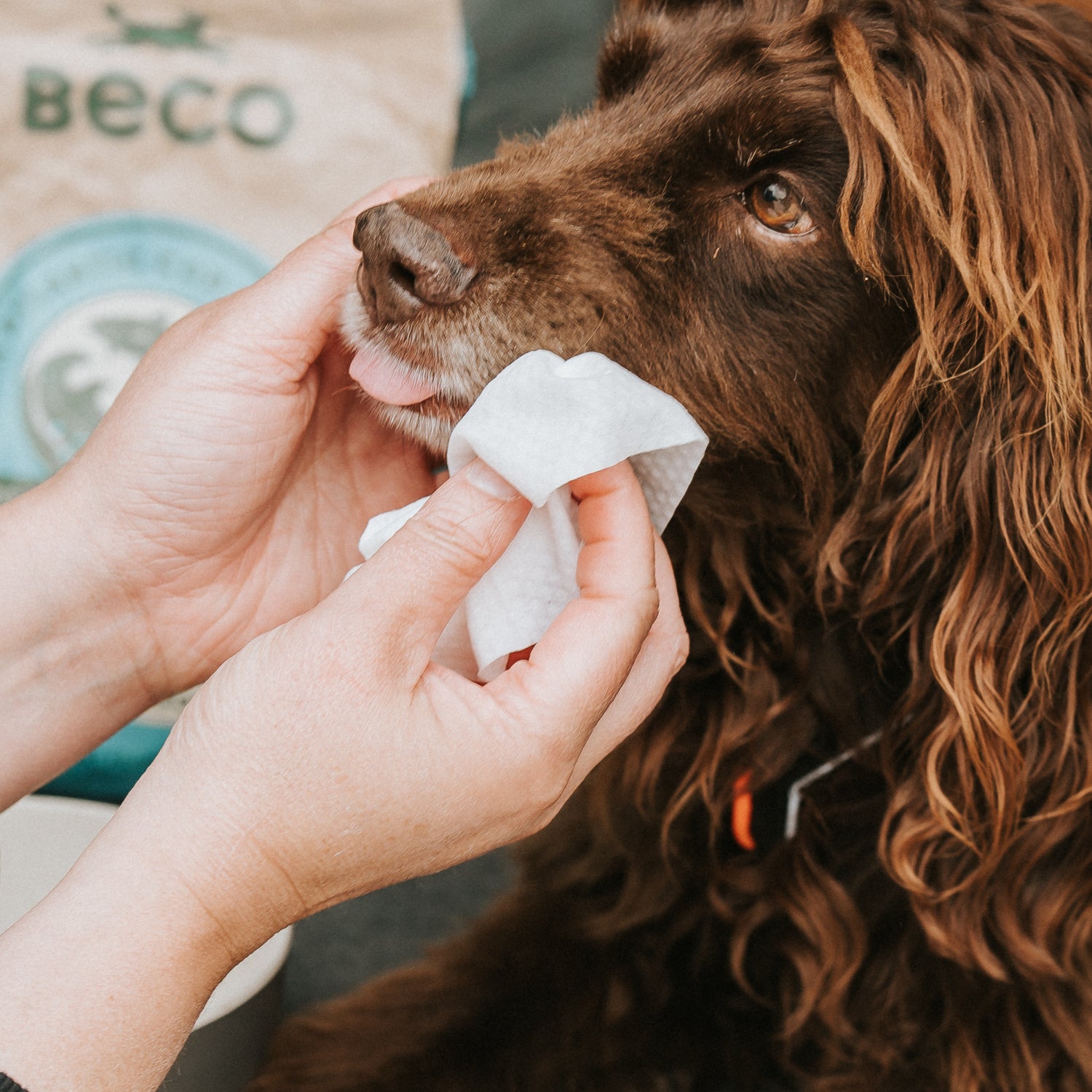Beco vochtige doekjes kokos 80 stuks