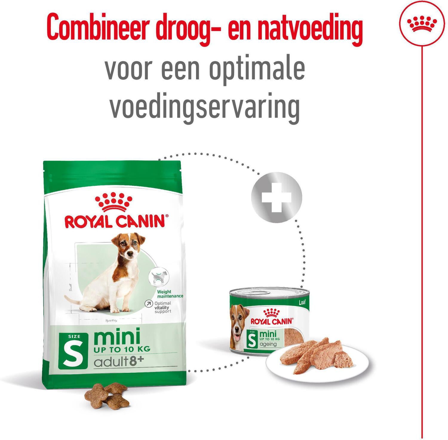 Royal Canin hondenvoer Mini adult 8+ 2 kg