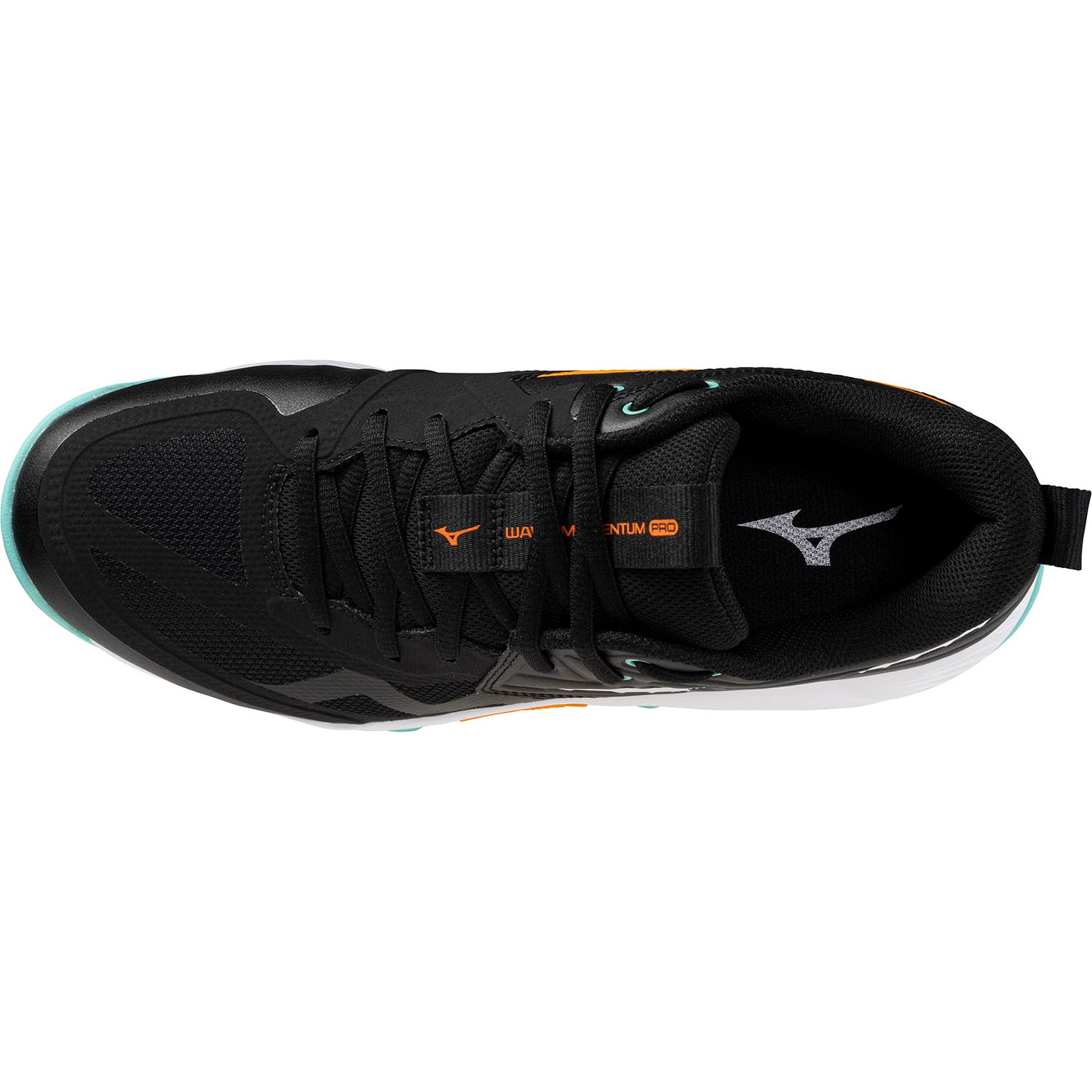 Mizuno Wave Momentum Pro