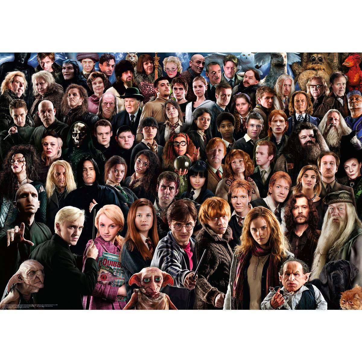 Ravensburger Spiel Challenge Harry Potter