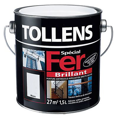 Peinture extérieure et intérieure fer blanc Tollens 0,5L