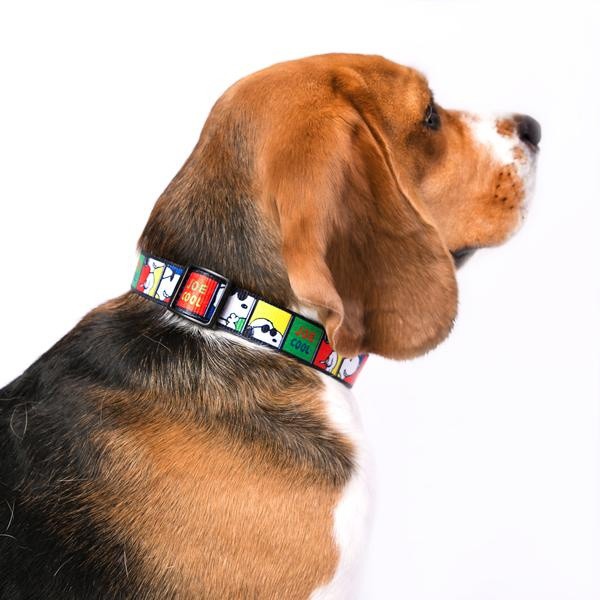 Coleira para cães Snoopy Joe Cool Multicolorida