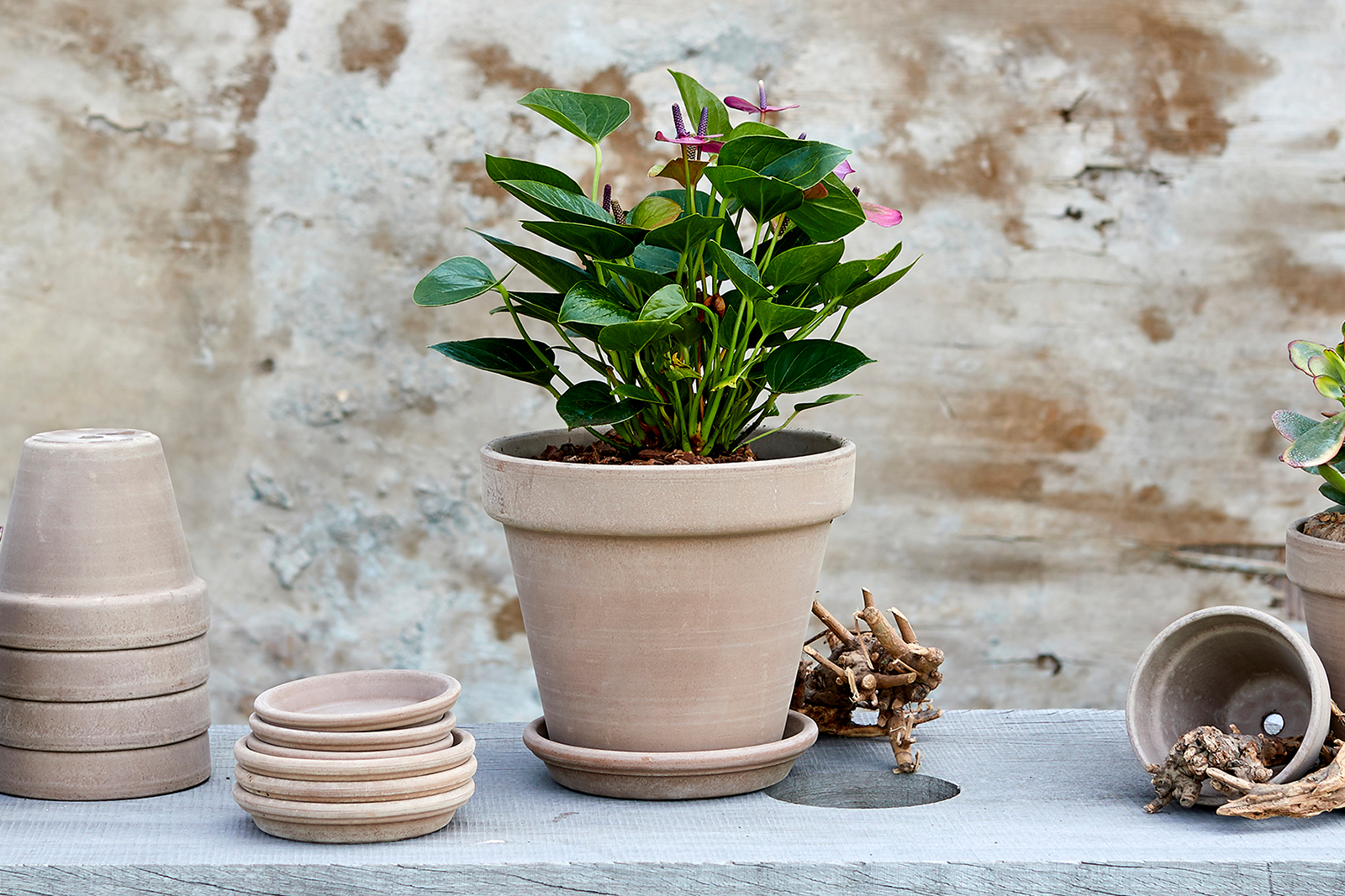 Toscana blomsterpotte Ø:11 cm. Kakao terracotta.