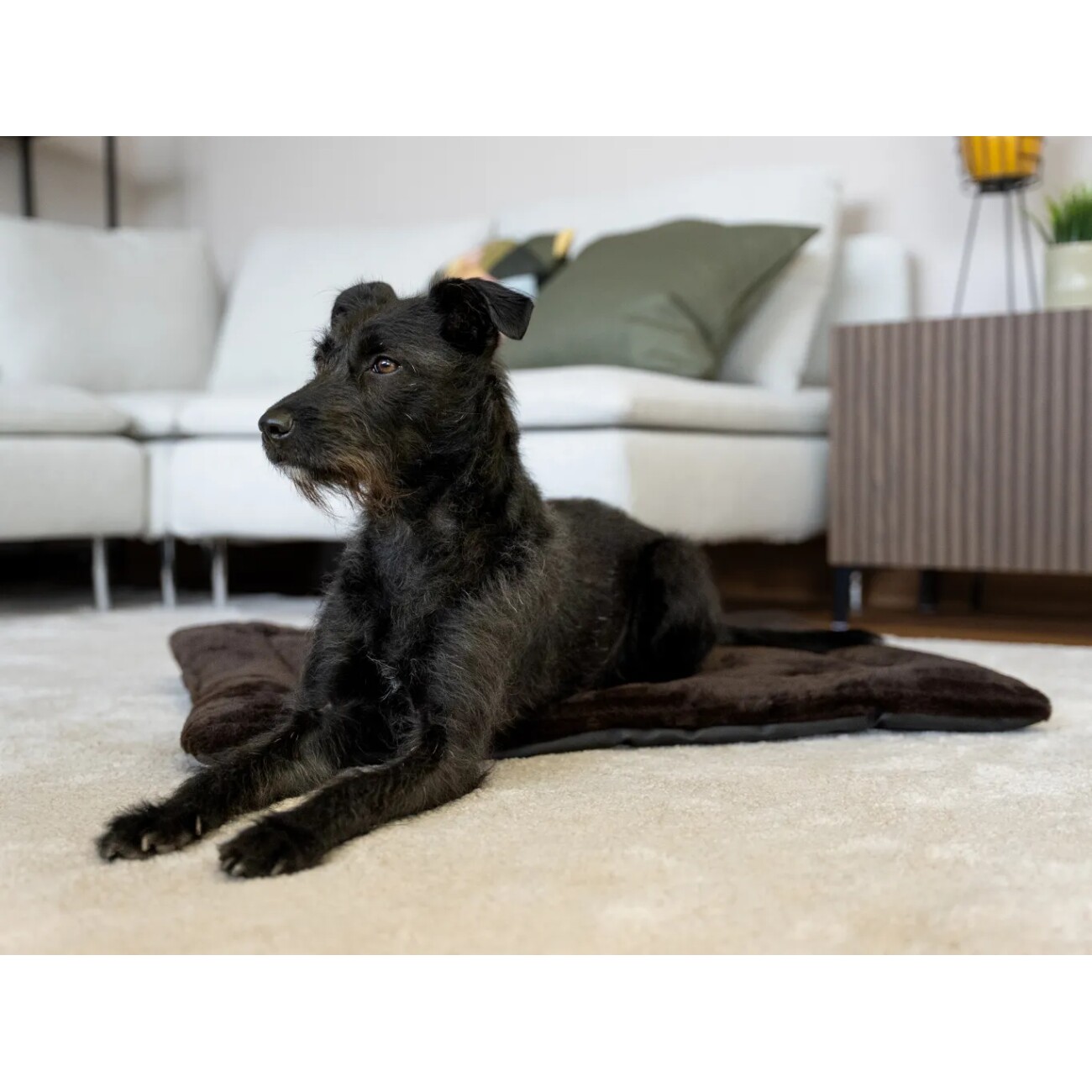 TrendPet Harmony Flex gefütterte Liegedecke Unterseite schmutzunempfindlich XS