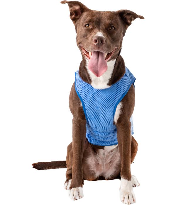 GF PET® Elastofit® Hundekühlweste
