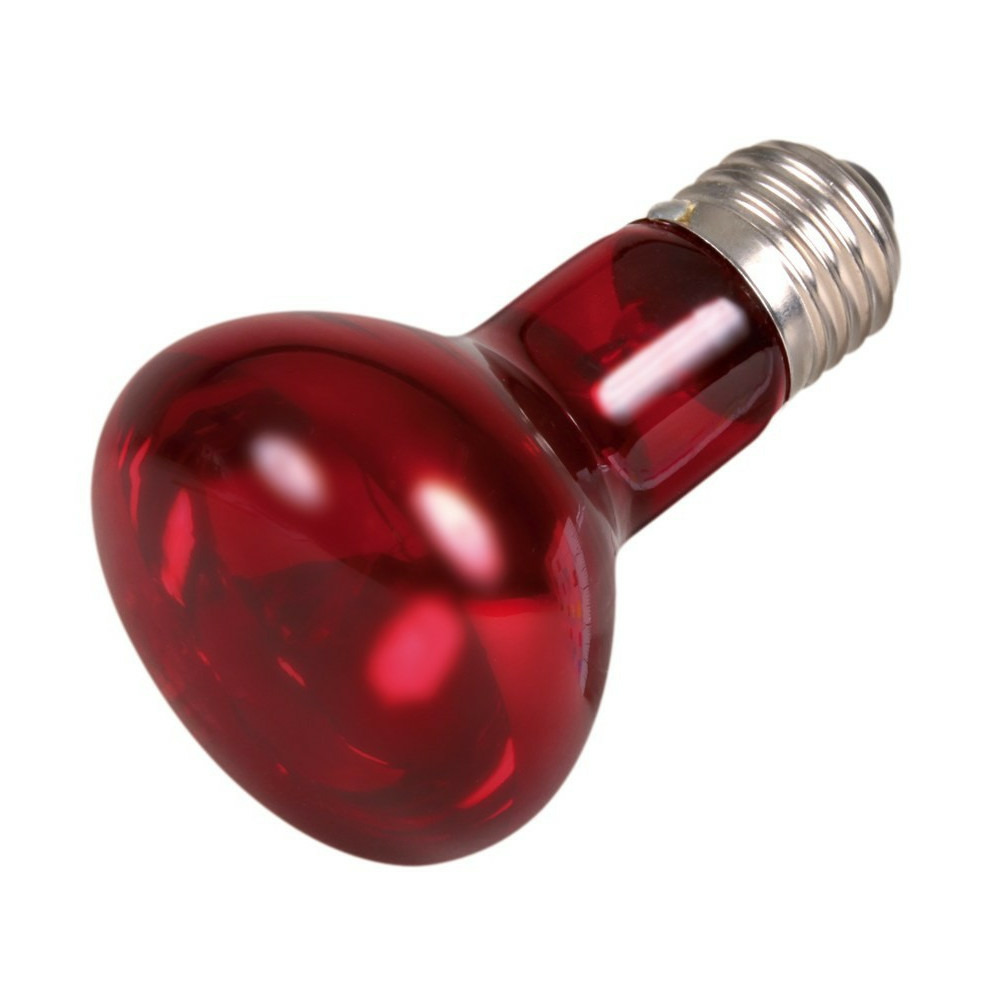 50 w lampe infrarouge à chaleur, ø 63 × 100 mm