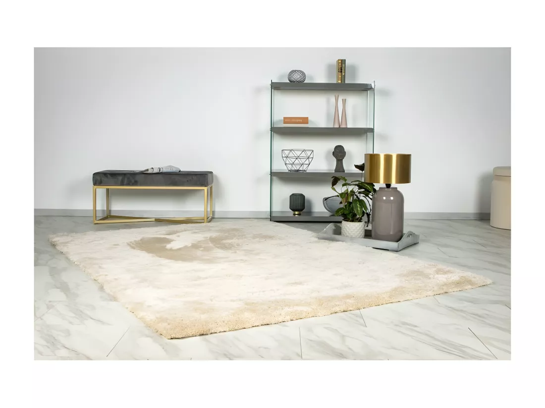 Tapis 170x120cm, design G008R coloris beige - Confort et élégance pour votre intérieur