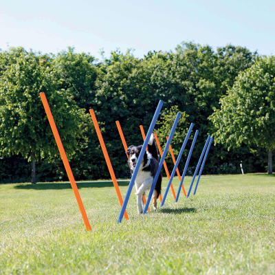 Trixie Dog Activity Agility Safer Slalom