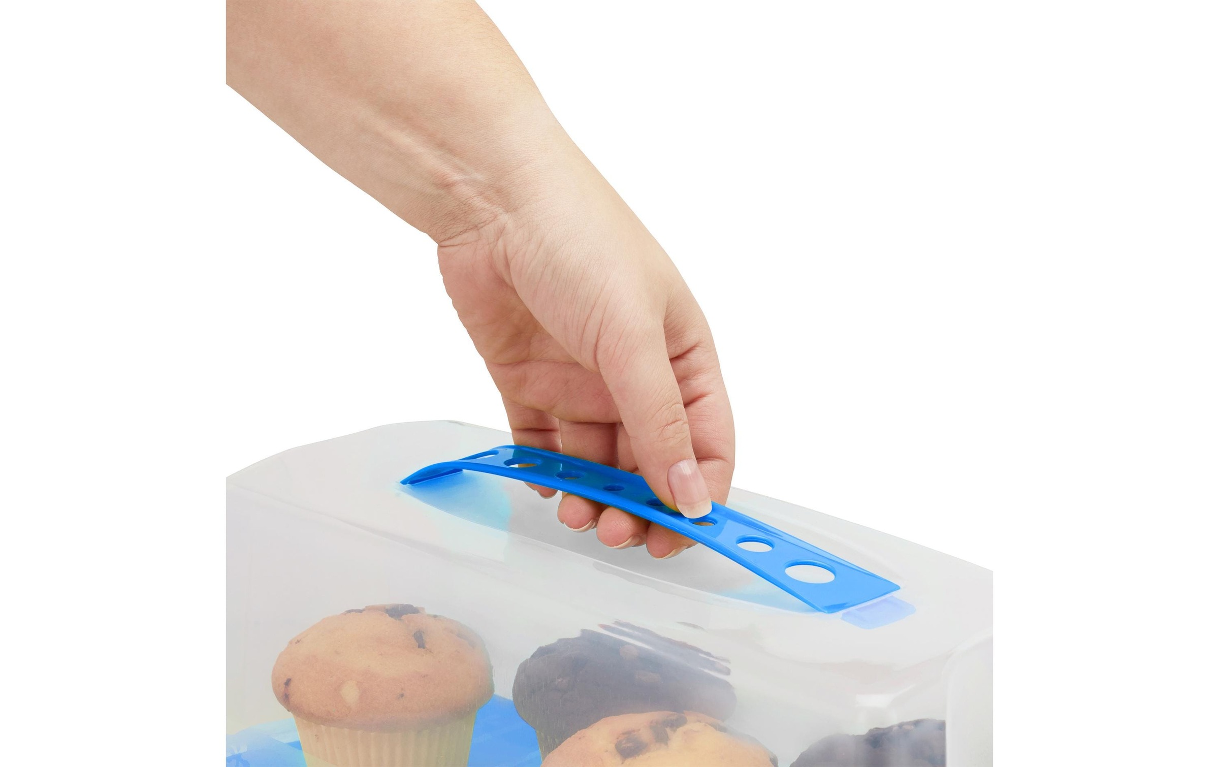 relaxdays Kuchentransportbox 1 Stk. tlg.
