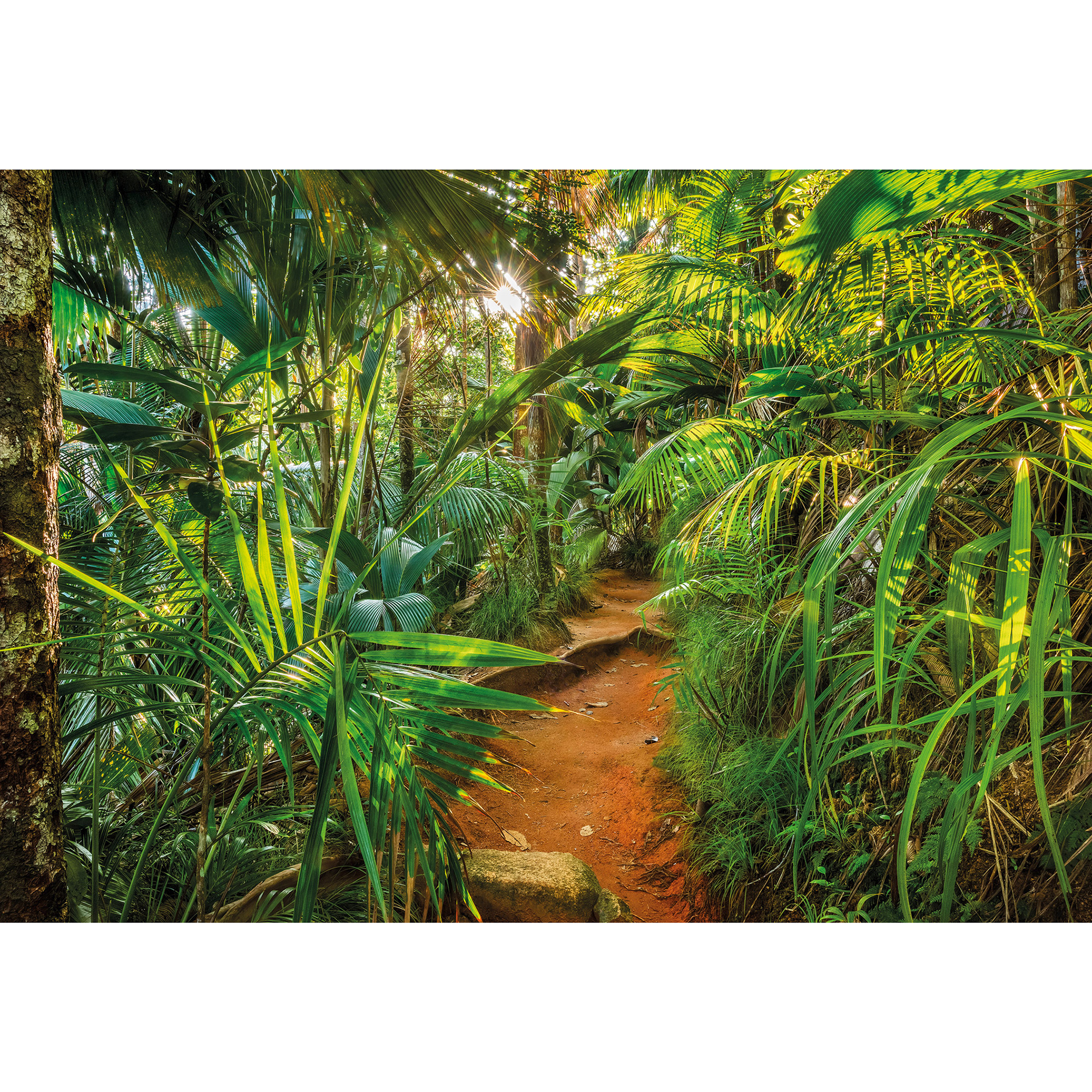 Papier-Fototapete JUNGLE TRAIL - grün - 368x254 cm