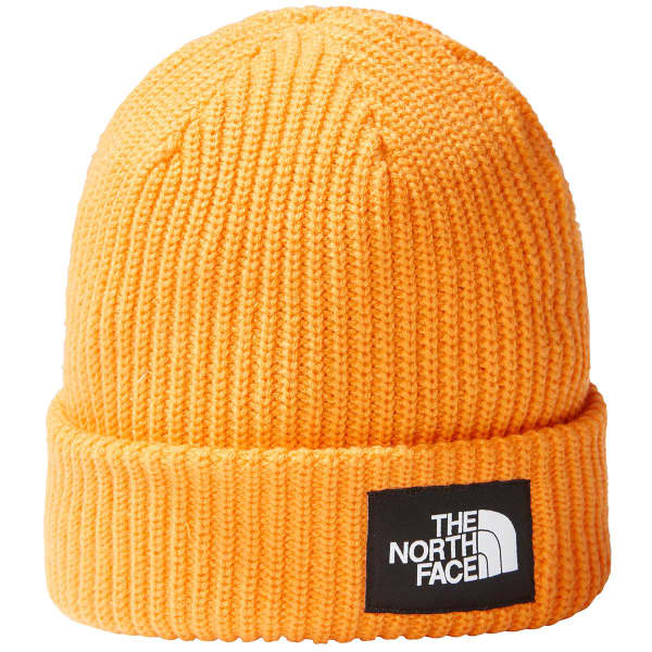 Bonnet ski THE NORTH FACE SALTY DOG BEANIE SUMMIT GOLD