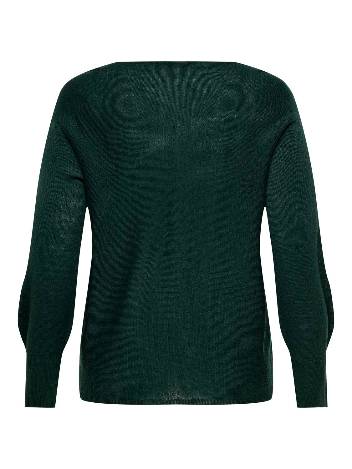 CARAIDA Strickpullover Scarab