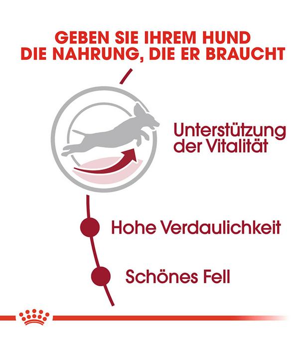 ROYAL CANIN® Trockenfutter für Hunde Medium