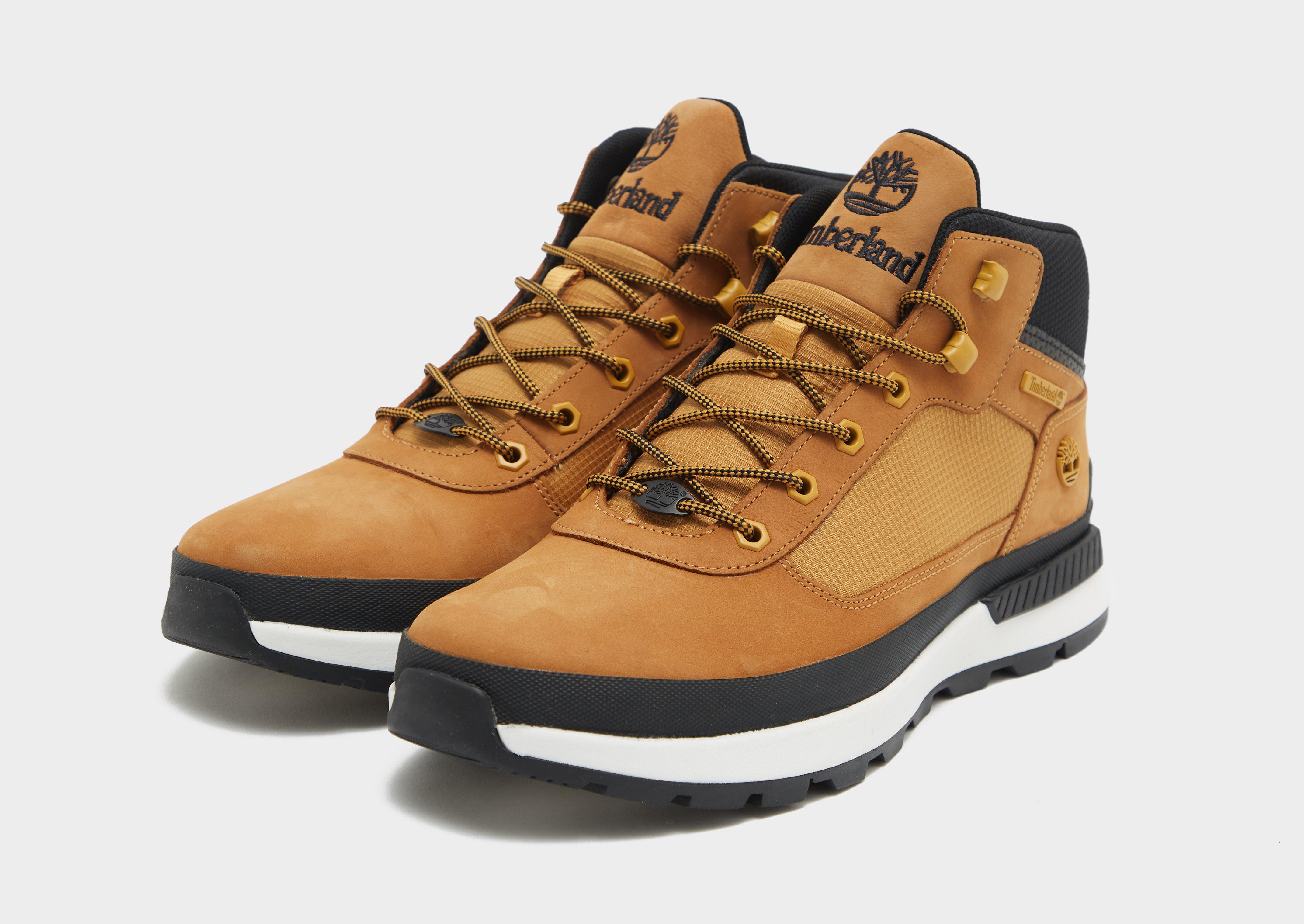 Timberland Field Trekker Homme