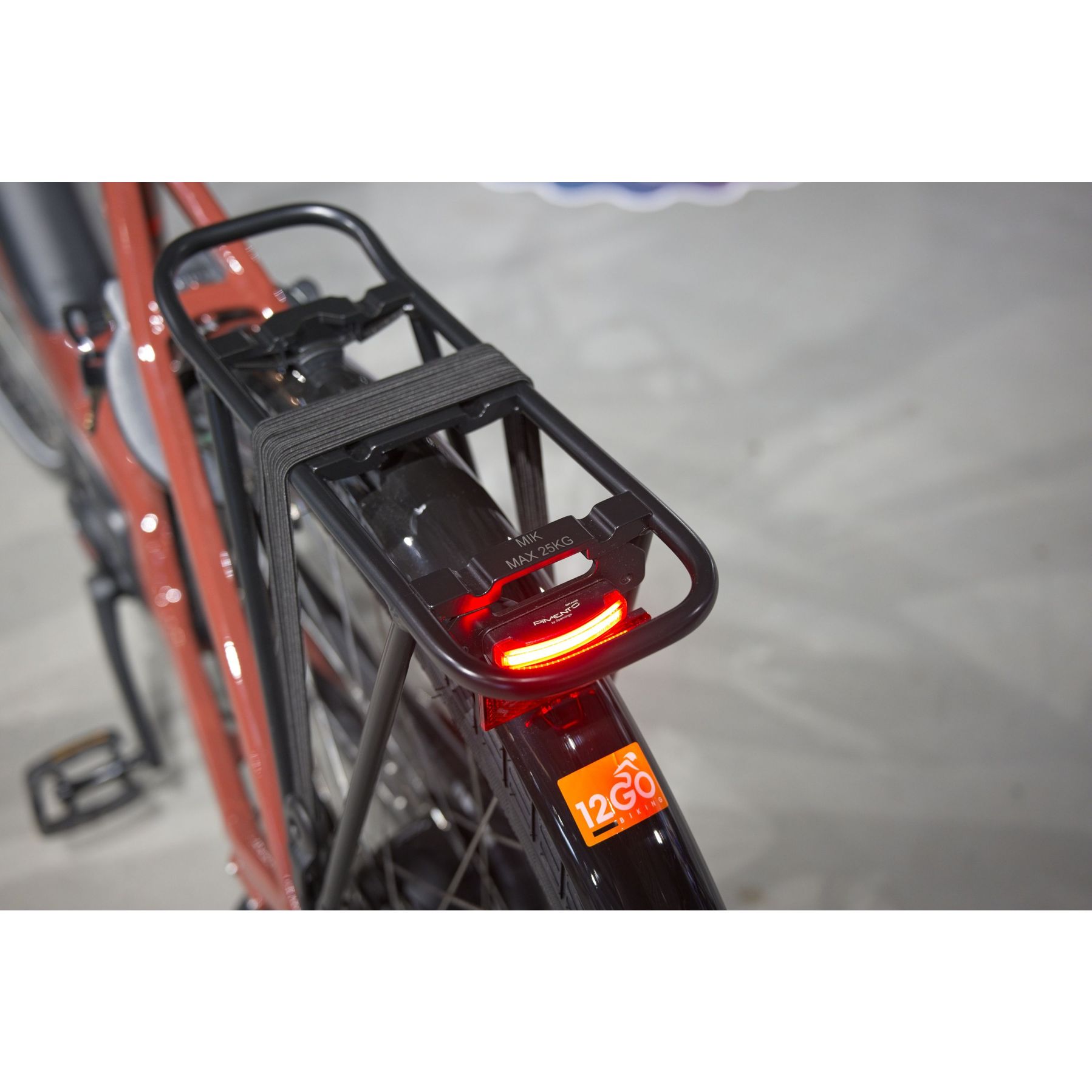 Batavus Altura E-Go Power Pro 2025