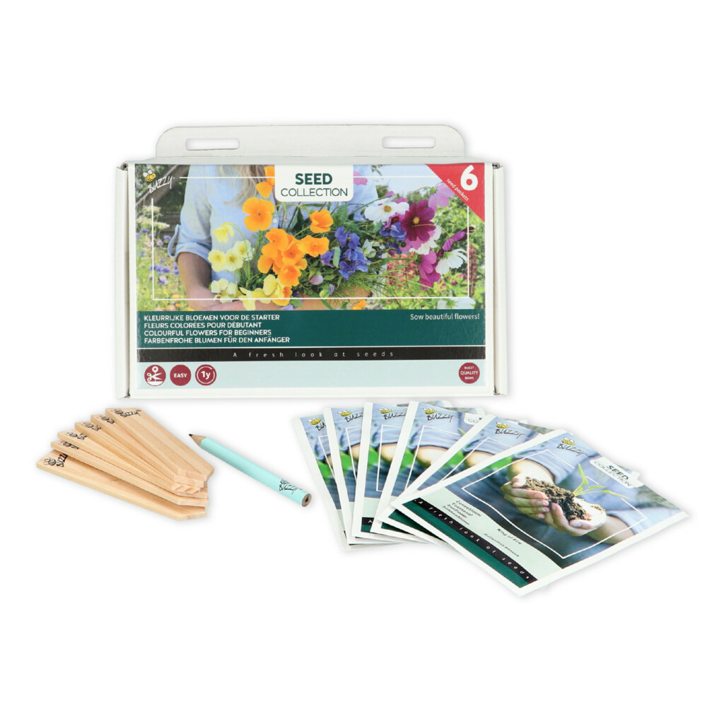 Buzzy Collection Kweekset 6 Kleurrijke Bloemen Voor De Starter1 set