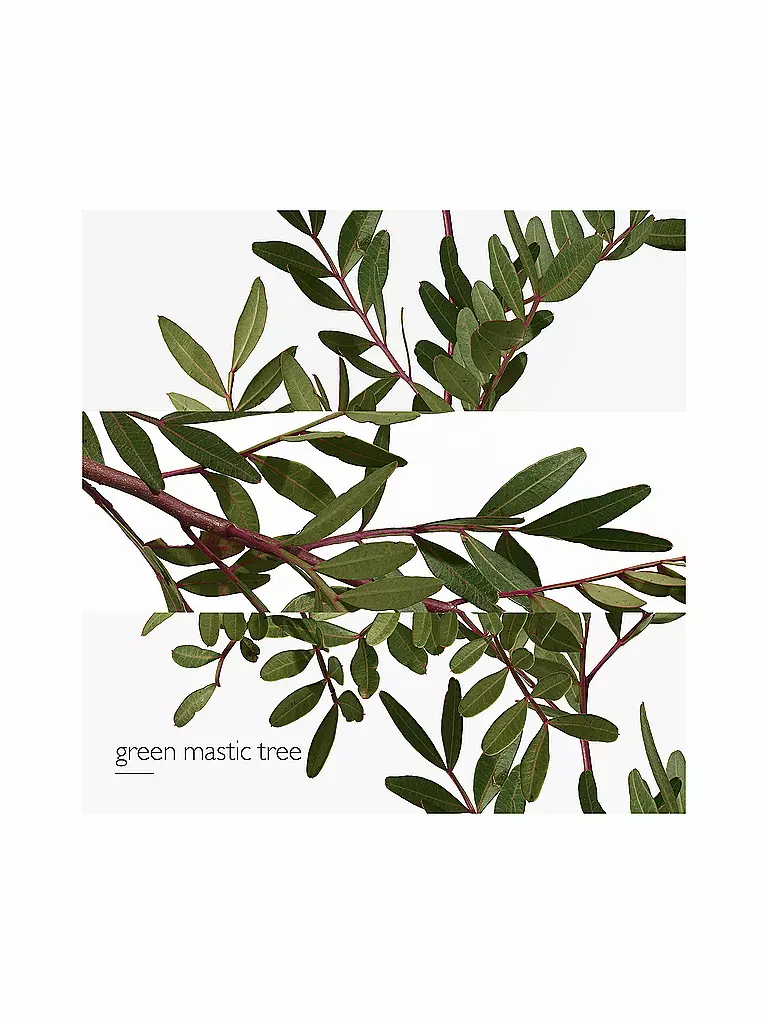 HERMÈS Un Jardin en Méditerranée Eau de Toilette 50 ml keine Farbe