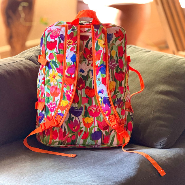 Sac cabine - Explorer 27 Litres