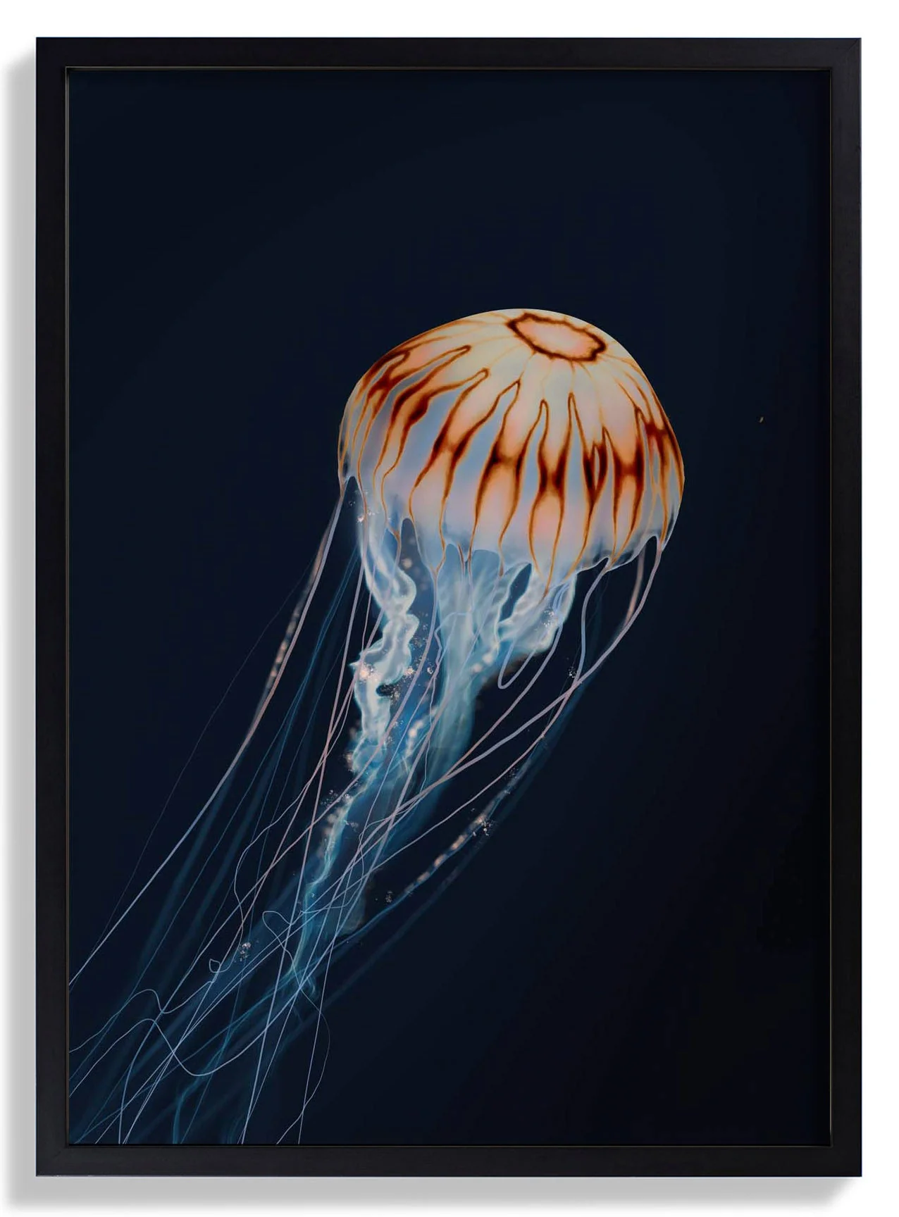 Sparkling Horizon Jellyfish von Julia Charlott