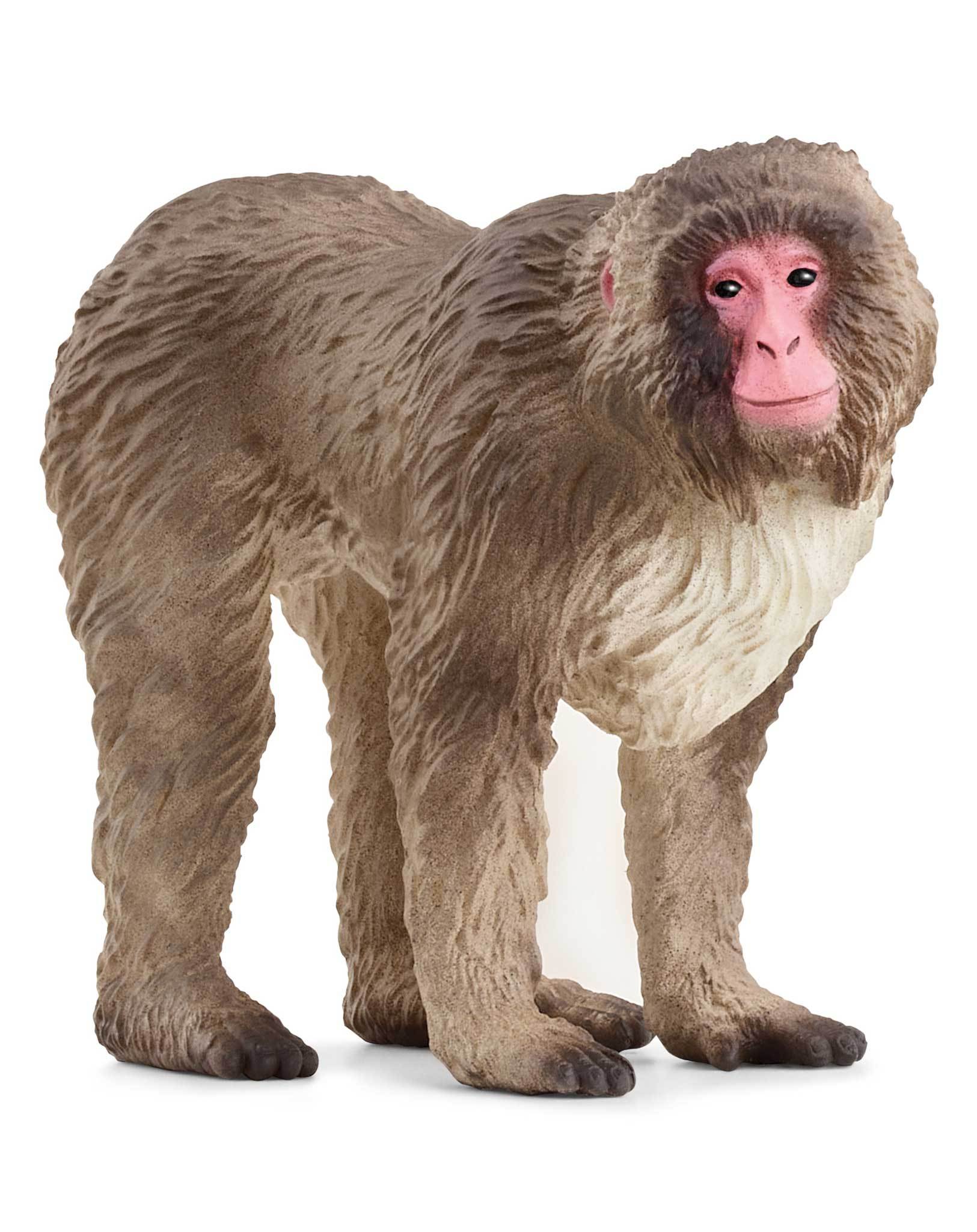 schleich® 14871 Wild Life - Japanmakak