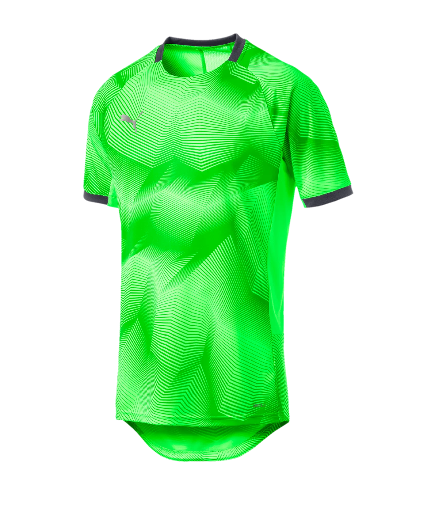 PUMA ftblNXT Graphic T-Shirt Grün Schwarz F03