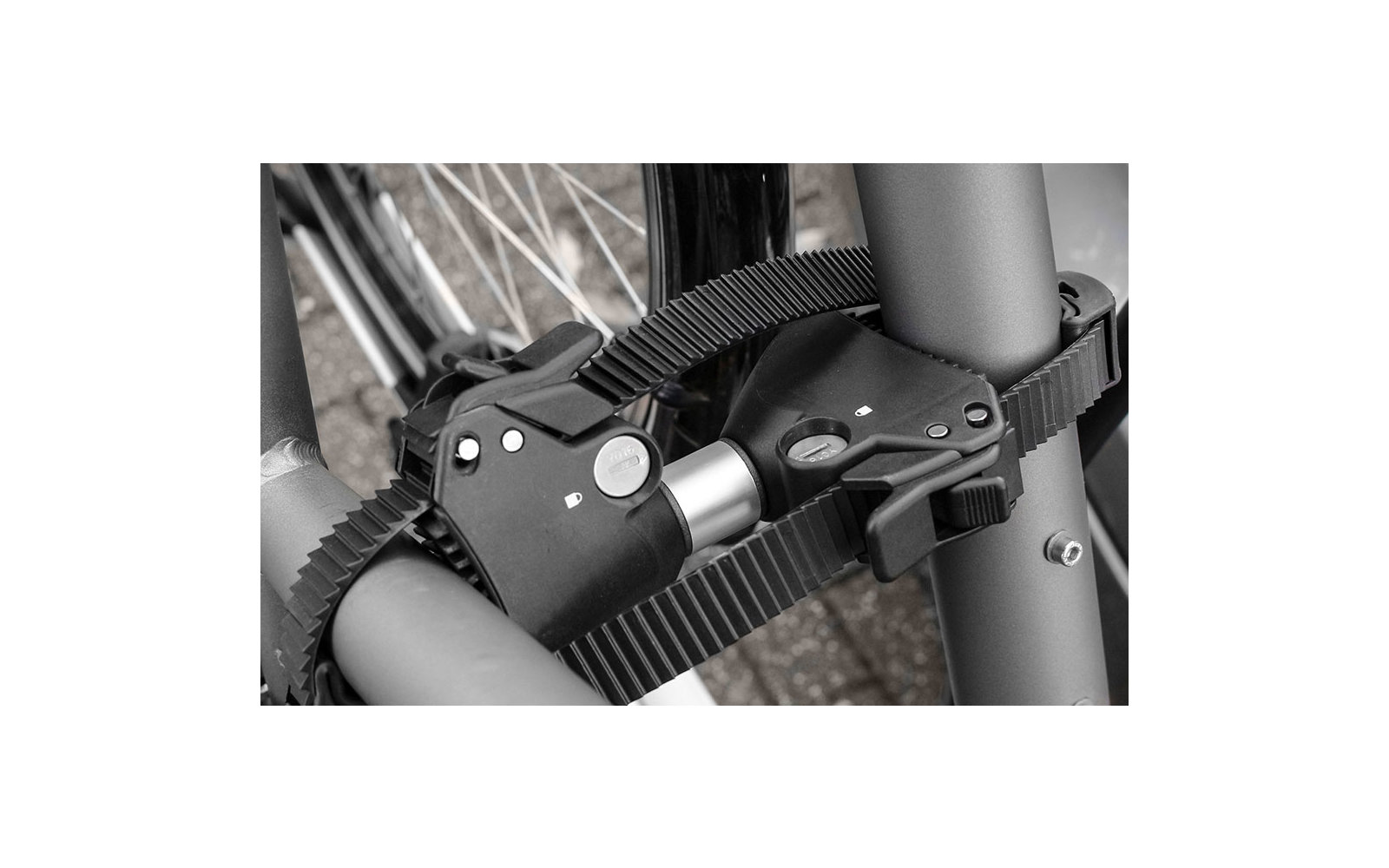Eufab Strap Rahmenhalter beidseitig