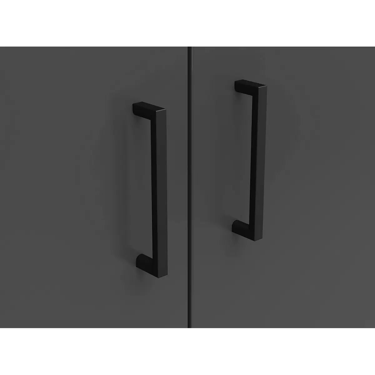 Regal 2T Cabinet Anthrazit