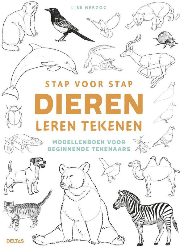 Stap Voor Stap Dieren Leren Tekenen - Tekenboek - Diverse Technieken