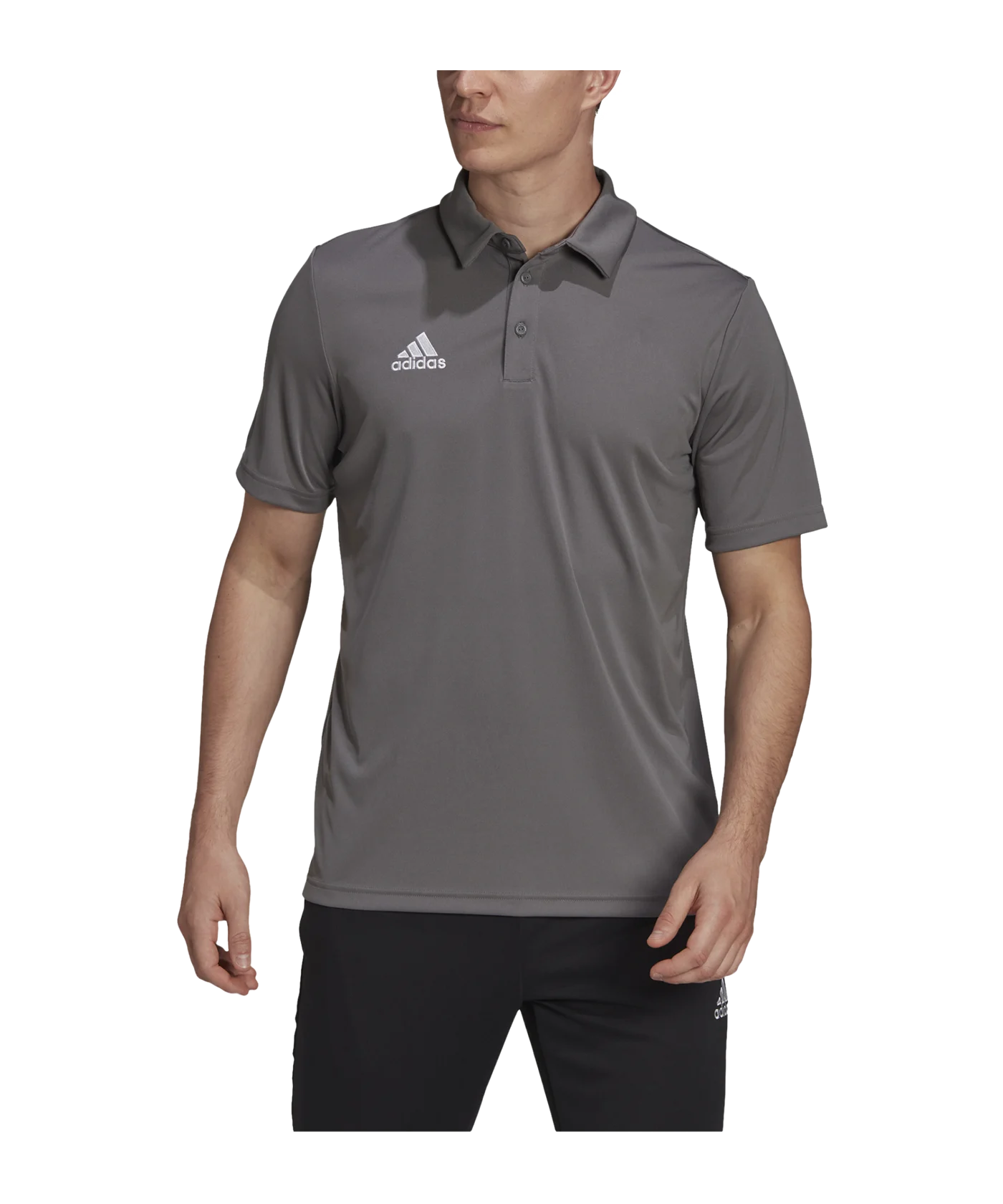 adidas Entrada 22 Poloshirt Grau
