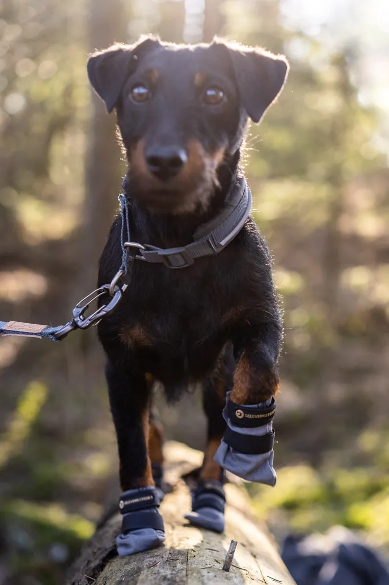 Seleverkstedet Seleverkstedet High Endurance dog boot 4pk Grå/svart