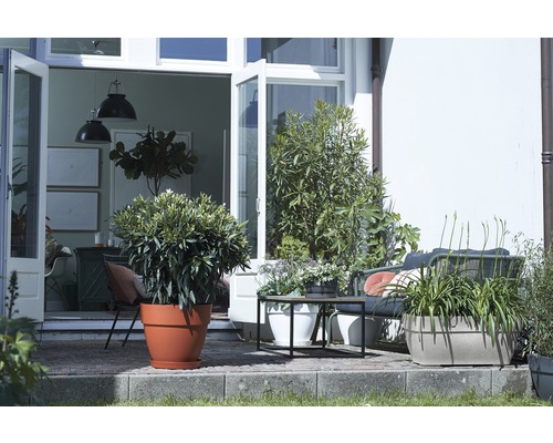 Bloempot Elho Vibia Campana L 80 cm grijs