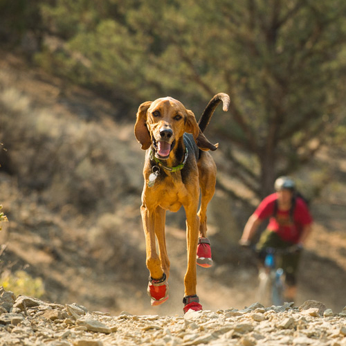 Ruffwear Grip Trex Boots