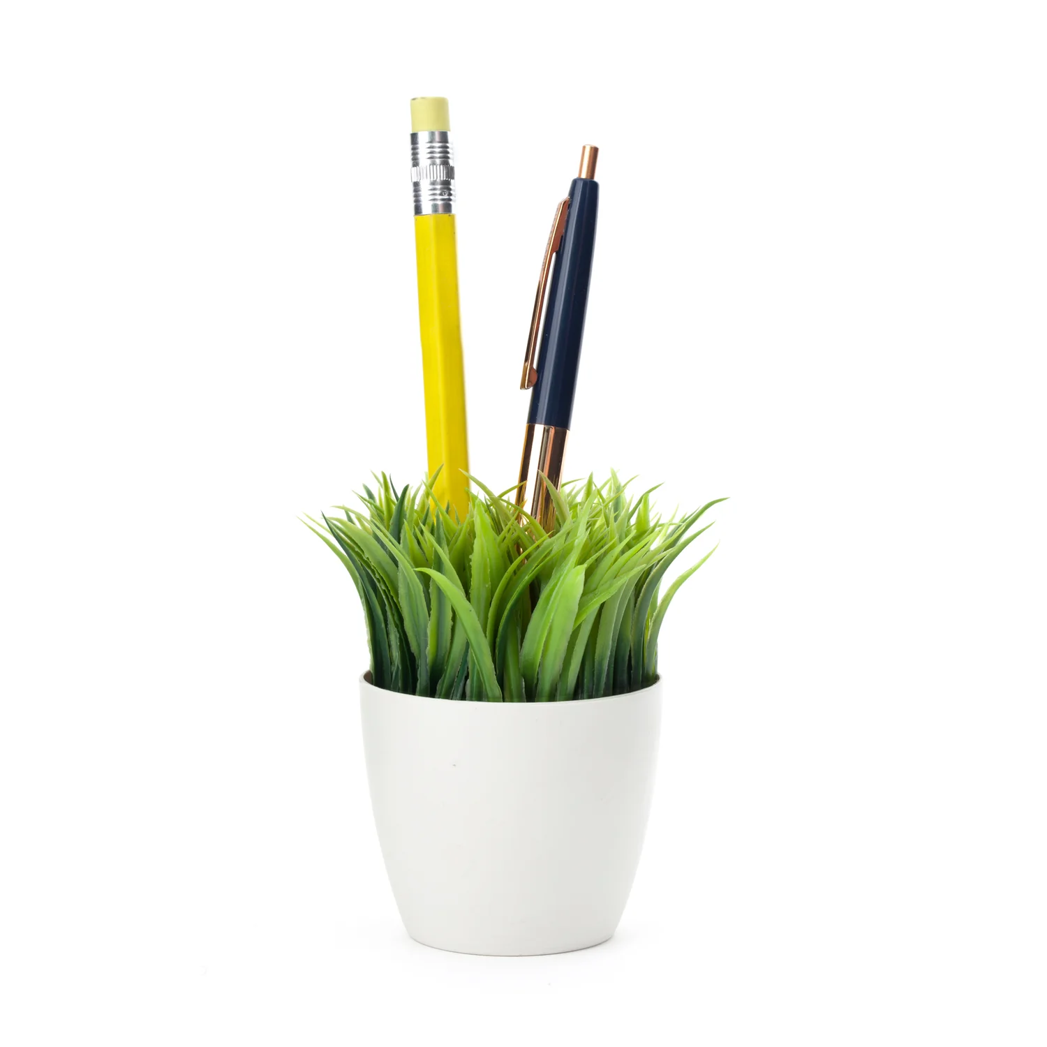Potted Pen Stand