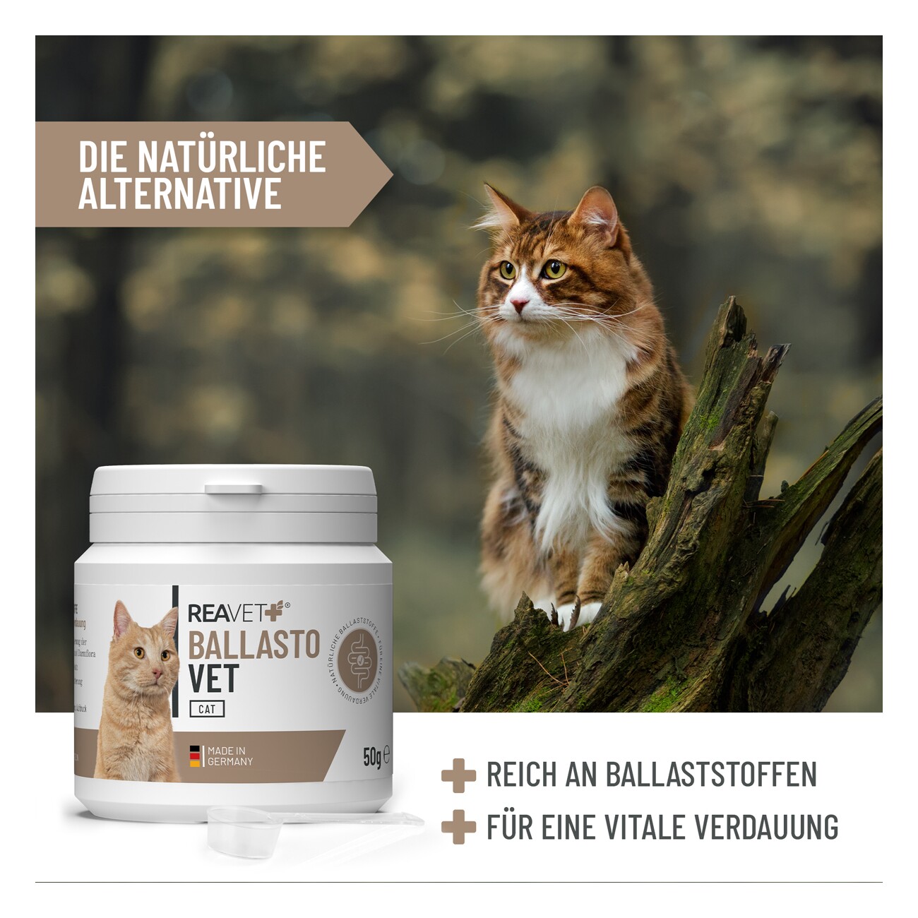 REAVET BallastoVET für Katzen 50g