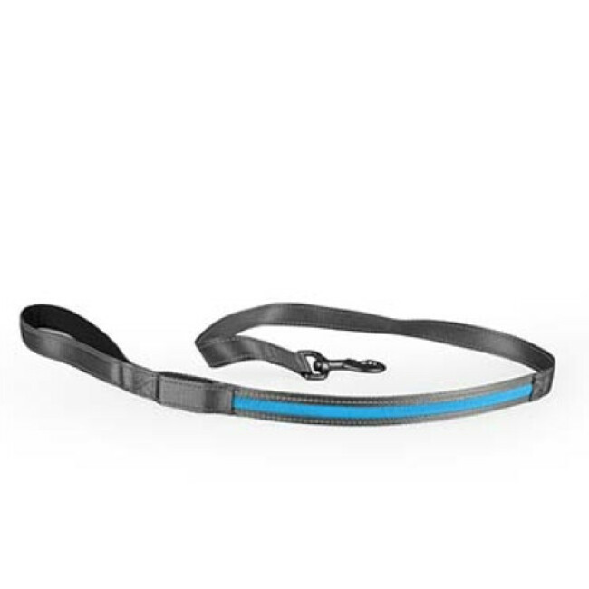 Laisse flash light usb nylon pour chien